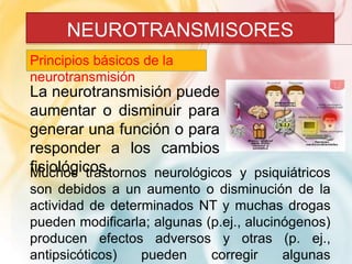 NEUROTRANSMISORES 
Principios básicos de la 
neurotransmisión 
La neurotransmisión puede 
aumentar o disminuir para 
generar una función o para 
responder a los cambios 
fMisuicohlóogsictroass.tornos neurológicos y psiquiátricos 
son debidos a un aumento o disminución de la 
actividad de determinados NT y muchas drogas 
pueden modificarla; algunas (p.ej., alucinógenos) 
producen efectos adversos y otras (p. ej., 
antipsicóticos) pueden corregir algunas 
 