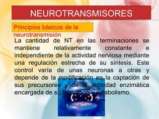 NEUROTRANSMISORES 
Principios básicos de la 
neurotransmisión 
La cantidad de NT en las terminaciones se 
mantiene relativamente constante e 
independiente de la actividad nerviosa mediante 
una regulación estrecha de su síntesis. Este 
control varía de unas neuronas a otras y 
depende de la modificación en la captación de 
sus precursores y de la actividad enzimática 
encargada de su formación y catabolismo. 
 
