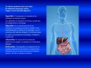 En síntesis podemos decir que todos
los alimentos pasan por cuatro
etapas a través del tubo digestivo.
Ingestión: Corresponde a la entrada de los
alimentos en nuestro cuerpo.
Los alimentos se mastican en la boca y pasan por
el esófago hasta el estómago.
Digestión: Es la transformación de los
alimentos en sustancias nutritivas simples. Esta
transformación se realiza en el estómago y en el
comienzo del intestino delgado. En ella participan
los jugos que producen el estómago, el hígado y
el páncreas.
Absorción: Es el paso de las sustancias
nutritivas a la sangre y se produce en el intestino
delgado.
Defecación. Corresponde a la expulsión de los
residuos alimenticios al exterior. La parte de los
alimentos que no se aprovecha pasa al intestino
grueso y de allí se expulsa al exterior
 