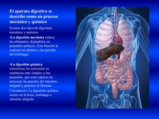 El aparato digestivo se
describe como un proceso
mecánico y químico
Existen dos tipos de digestión:
mecánica y química.
•La digestión mecánica reduce
los alimentos, dejándolos en
pequeños pedazos. Esta función la
realizan los dientes y las paredes
del estómago.
•La digestión química
transforma los nutrientes en
sustancias más simples y tan
pequeñas, que sean capaces de
atravesar las paredes del intestino
delgado y penetrar al Sistema
Circulatorio. La digestión química
ocurre en la boca, estómago e
intestino delgado.
 
