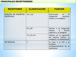 RECEPTORES CLASIFICACIÓN FUNCIÓN
OPIÁCEOS (DE ENDORFINA-
ENCEFALINA)
m1 y m2 Interrvienen en la
integración sensitivo-
motora y la analgesia
D1 y D2 Afectan a la integración
motora, la función
cognitiva y la analgesia
k1, k2 y k3 Influyen en la regulación
del balance hídrico, la
analgesia y la alimentación
NO-OPIÁCEOS S Se unen a la PCP y se
localizan
fundamentalmente en el
hipotálamo
PRINCIPALES RECEPTORERES
 