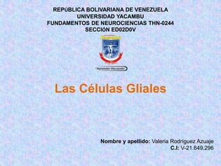 REPÚBLICA BOLIVARIANA DE VENEZUELA
UNIVERSIDAD YACAMBU
FUNDAMENTOS DE NEUROCIENCIAS THN-0244
SECCIÓN ED02D0V
Las Células Gliales
Nombre y apellido: Valeria Rodríguez Azuaje
C.I: V-21.649.296
 