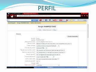 PERFIL
 