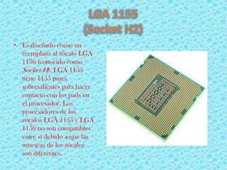 • Es diseñado como un
  reemplazo al zócalo LGA
  1156 (conocido como
  Socket H). LGA 1155
  tiene 1155 pines
  sobresalientes para hacer
  contacto con los pads en
  el procesador. Los
  procesadores de los
  zócalos LGA 1155 y LGA
  1156 no son compatibles
  entre sí debido a que las
  muescas de los zócalos
  son diferentes.
 