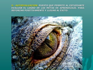 9.- AUTOEVALUACION:9.- AUTOEVALUACION: PUESTO QUE PERMITE AL ESTUDIANTEPUESTO QUE PERMITE AL ESTUDIANTE
EVALUAR EL LOGRO DE LAS METAS DE APRENDIZAJE, PARAEVALUAR EL LOGRO DE LAS METAS DE APRENDIZAJE, PARA
REFORZAR POSITIVAMENTE Y LLEGAR AL ÉXITO.REFORZAR POSITIVAMENTE Y LLEGAR AL ÉXITO.
 