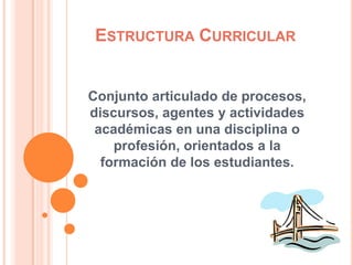 Estructura Curricular Conjunto articulado de procesos, discursos, agentes y actividades académicas en una disciplina o profesión, orientados a la formación de los estudiantes. 