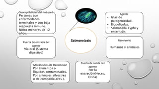 Salmonelosis
Susceptibilidad del huésped
Personas con
enfermedades
terminales y con baja
respuesta inmune.
Niños menores de 12
años.
Agente
• Islas de
patogenicidad.
• Biopeliculas.
• Salmonella Typhi y
enteritidis
Reservorio
Humanos y animales
Puerta de salida del
agente
Por la
excreción(Heces,
Orina)
Mecanismos de transmisión
Por alimentos o
líquidos contaminados.
Por animales silvestres
o de compañía(aves ).
Puerta de entrada del
agente
Vía oral (Sistema
digestivo)
 