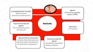 Varicela
Susceptibilidad del huésped
Niños menores
personas con desnutrición
Agente
virus de la varicela-
zóster (VVZ).
Reservorio
Los humanos
Puerta de salida del
agente
secreciones respiratorias
lesiones cutáneas
Mecanismos de transmisión
Contacto directo (de persona a
persona a partir de enfermos)
vía secreciones respiratorias
Puerta de entrada del
agente
Vías respiratorias, piel y
mucosas oral
 