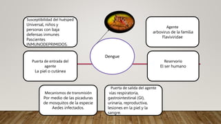 Dengue
Susceptibilidad del huésped
Universal, niños y
personas con baja
defensas inmunes
Pascientes
INMUNODEPRIMIDOS.
Agente
arbovirus de la familia
Flaviviridae
Reservorio
El ser humano
Puerta de salida del agente
vías respiratoria,
gastrointestinal (GI),
urinaria, reproductiva,
lesiones en la piel y la
sangre.
Mecanismos de transmisión
Por medio de las picaduras
de mosquitos de la especie
Aedes infectados.
Puerta de entrada del
agente
La piel o cutánea
 