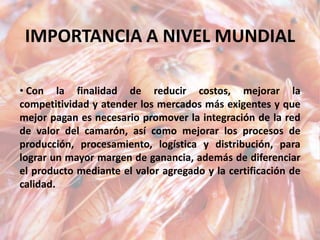 IMPORTANCIA A NIVEL MUNDIAL
• Con la finalidad de reducir costos, mejorar la
competitividad y atender los mercados más exigentes y que
mejor pagan es necesario promover la integración de la red
de valor del camarón, así como mejorar los procesos de
producción, procesamiento, logística y distribución, para
lograr un mayor margen de ganancia, además de diferenciar
el producto mediante el valor agregado y la certificación de
calidad.
 