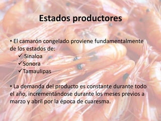 Estados productores
• El camarón congelado proviene fundamentalmente
de los estados de:
 Sinaloa
Sonora
Tamaulipas
• La demanda del producto es constante durante todo
el año, incrementándose durante los meses previos a
marzo y abril por la época de cuaresma.
 