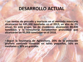 DESARROLLO ACTUAL
• Las ventas de pescado y mariscos en el mercado mexicano
alcanzaron las 635,000 toneladas en el 2013, un alza de 2%
anual. En este grupo, las de crustáceos alcanzaron 88,000
toneladas y la consultoría Euromonitor pronosticó que
alcanzarán las 95,000 toneladas en el 2018.
• Según la Secretaría de Agricultura, 20% de la población
prefiere consumir camarón en tallas pequeñas, 50% en
medianas y 30% en grandes.
 