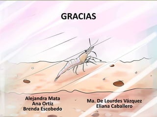 GRACIAS
Alejandra Mata
Ana Ortiz
Brenda Escobedo
Ma. De Lourdes Vázquez
Eliana Caballero
 