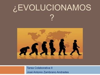 ¿EVOLUCIONAMOS
?
Tarea Colaborativa II
José Antonio Zambrano Andrades
 