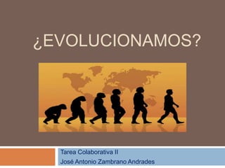 ¿EVOLUCIONAMOS?
Tarea Colaborativa II
José Antonio Zambrano Andrades
 