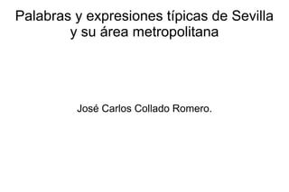 Palabras y expresiones típicas de Sevilla
        y su área metropolitana




         José Carlos Collado Romero.
 