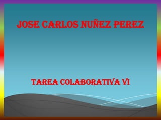 JOSE CARLOS NUÑEZ PEREZ
TAREA COLABORATIVA VI
 