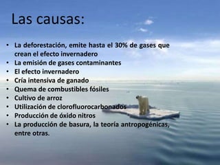 Las causas:
• La deforestación, emite hasta el 30% de gases que
crean el efecto invernadero
• La emisión de gases contaminantes
• El efecto invernadero
• Cría intensiva de ganado
• Quema de combustibles fósiles
• Cultivo de arroz
• Utilización de clorofluorocarbonados
• Producción de óxido nitros
• La producción de basura, la teoría antropogénicas,
entre otras.
 