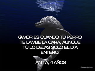 “ AMOR ES CUANDO TU PERRO TE LAMBE LA CARA, AUNQUE TÚ LO DEJAS SOLO EL DÍA ENTERO. ANITA, 4 AÑOS 