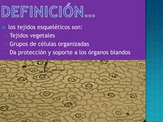  los tejidos esqueléticos son:
o Tejidos vegetales
o Grupos de células organizadas
o Da protección y soporte a los órganos blandos
 
