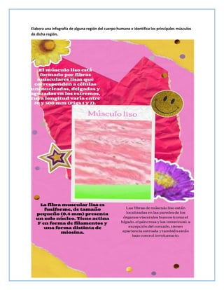 Elabora una infografía de alguna región del cuerpo humano e identifica los principales músculos
de dicha región.
 