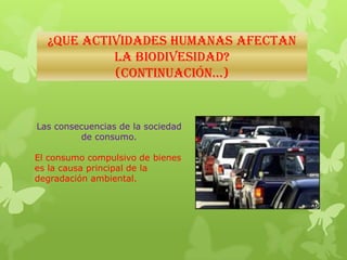 ¿QUE ACTIVIDADES HUMANAS AFECTAN
LA BIODIVESIDAD?
(continuación…)
Las consecuencias de la sociedad
de consumo.
El consumo compulsivo de bienes
es la causa principal de la
degradación ambiental.
 