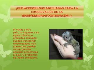 ¿Qué ACCIONES SON ADECUADAS PARA LA
CONSERVACIÓN DE LA
BIODIVERSIDAD?(Continuación..)
Si viajas a otro
país, no ingreses a su
egreso plantas o
productos animales;
pueden transportar
enfermedades muy
graves que pueden
causar grandes
pérdidas económicas
al país. O problemas
de índole ecológicos.
 