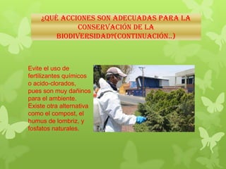 ¿Qué ACCIONES SON ADECUADAS PARA LA
CONSERVACIÓN DE LA
BIODIVERSIDAD?(Continuación..)
Evite el uso de
fertilizantes químicos
o acido-clorados,
pues son muy dañinos
para el ambiente.
Existe otra alternativa
como el compost, el
humus de lombriz, y
fosfatos naturales.
 