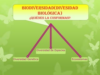 Biodiversidad(Divesidad
Biológica)
¿Quiénes la conforman?
Diversidad de Especies
Diversidad Genética Ecosistemas
 