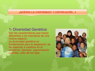 ¿Quiénes la conforman? ( continuación…)
1- Diversidad Genética:
Son las características que hacen
diferentes a los individuos de una
misma especie.
La diversidad genética es
fundamental para la adaptación de
las especies a cambios en el
ambiente. Ejemplo: pigmentación
cutánea, color de los ojos.
 