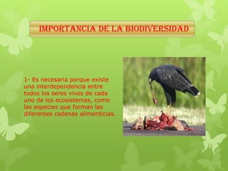 IMPORTANCIA DE LA BIODIVERSIDAD
1- Es necesaria porque existe
una interdependencia entre
todos los seres vivos de cada
uno de los ecosistemas, como
las especies que forman las
diferentes cadenas alimenticias.
 