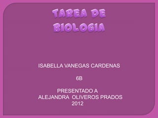 ISABELLA VANEGAS CARDENAS

           6B

      PRESENTADO A
ALEJANDRA OLIVEROS PRADOS
          2012
 