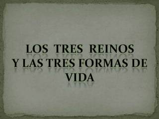 Dante Alighieri y La divina comedia