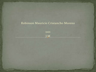 Robinson Mauricio Cristancho Moreno

               1101
               J.M
 
