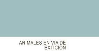 ANIMALES EN VIA DE
EXTICION
 