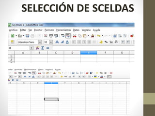 SELECCIÓN DE SCELDAS
 