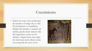 Crecimiento
• Todos los seres vivos aumentan
de tamaño a lo largo de su vida.
El crecimiento se manifiesta
debido del tamaño o numero de
células, puede durar toda la vida
del organismo, como en los
arboles o llegar hasta una etapa
de vida hasta cierta altura como
en la mayoría de seres vivos.
 
