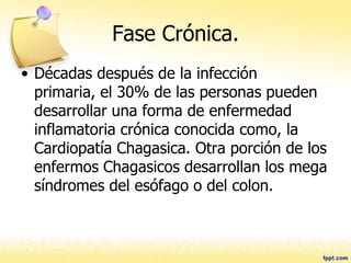 Fase Crónica.
• Décadas después de la infección
primaria, el 30% de las personas pueden
desarrollar una forma de enfermedad
inflamatoria crónica conocida como, la
Cardiopatía Chagasica. Otra porción de los
enfermos Chagasicos desarrollan los mega
síndromes del esófago o del colon.
 