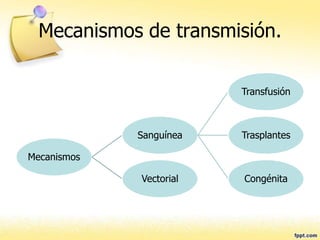 Mecanismos de transmisión.
Mecanismos
Sanguínea
Transfusión
Trasplantes
CongénitaVectorial
 