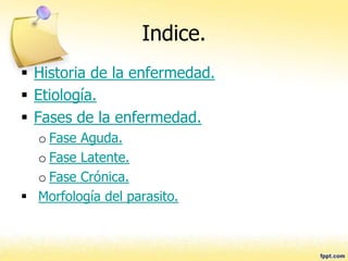 Indice.
 Historia de la enfermedad.
 Etiología.
 Fases de la enfermedad.
o Fase Aguda.
o Fase Latente.
o Fase Crónica.
 Morfología del parasito.
 