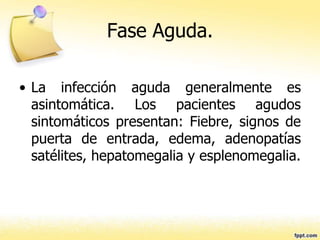 Fase Aguda.
• La infección aguda generalmente es
asintomática. Los pacientes agudos
sintomáticos presentan: Fiebre, signos de
puerta de entrada, edema, adenopatías
satélites, hepatomegalia y esplenomegalia.
 