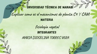 Unversidad Técnica de Manabí
Explicar como es el mecanismos de planta C4 Y CAM
Materia
fisiología vegetal
Integrantes
MARIA DIOSELINA TORRES VERA
 