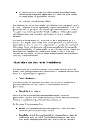 •   por material calcáreo (calcita o menos frecuentemente aragonita) segregado
       enteramente por el organismo. Dependiendo de la disposición de los cristales,
       las conchas pueden ser aporcelanadas o hialinas.

   •   muy raramente presentan conchas silíceas.

Los cristales de las conchas "imperforadas" aporcelanadas son de muy pequeño tamaño
(0,1-2µm), con formas aciculares o globulares y dispuestos aleatoriamente. Al no existir
paralelismo entre sus ejes ópticos, con el microscopio con luz transmitida la concha se
ve negra y opaca, mientras que con luz reflejada se ve blanca y brillante. Las conchas
aporcelanadas suelen tener pseudoporos que no suelen atravesar la concha por
completo.

Las conchas hialinas ("perforados"), se caracterizan por su transparencia, que es el
resultado de la delgadez de las paredes en las conchas granulares, o de la disposición
regular de los cristales con un eje óptico perpendicular a la superficie del concha en las
fibroradiales. Existen también conchas hialinas de estructra lamelar, formadas por la
superposición de laminas calcáreas separadas por una película de proteína. La estructura
lamelar puede ser monolamelar o plurilamelar en función del número de láminas
calcáreas por cada cámara. Las conchas hialinas presentan perforaciones con diámetro,
densidad y localización variables.


Disposición de las cámaras de foraminíferos:

Las conchillas de los foraminíferos dan lugar a unos espacios llamados cámaras. El
número, forma y la disposición de estas cámaras es uno de los criterios de clasificación
básico en la taxonomía de estos organismos.

   •   Número de cámaras:

Las conchas pueden dar lugar a una única cámara, son las conchas uniloculares, o
pueden estar formadas por varias cámaras, en este caso se trata de conchas
pluriloculares.

   •   Disposición de las cámaras:

Esta clasificación evidentemente hace referencia únicamente a las conchas
pluriloculares. En el caso de las conchas uniloculares, el criterio de diferenciación es la
forma de su única cámara (e.g., esférica, tubular, espiralada,…).

La disposición de las cámaras puede ser:

   •   Seriada, las cámaras se sitúan en relación longitudinal a un eje. Pueden ser
       uniloculares, biloculares, triloculares, o mixtas.

   •   Espiralada, esta es la denominaión cuando las cámaras sufren un proceso de
       enrollamiento según una espiral. Este enrollamiento puede ser en un único
       plano, son las conchas planispiraladas, que a su vez pueden ser involutas o
 
