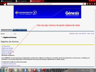 Una vez aquí vamos a la opción sabana de notas
 