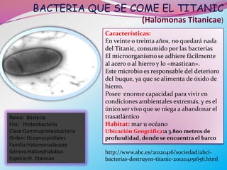 BACTERIA QUE SE COME EL TITANIC
.




                                              (Halomonas Titanicae)
                                Características:
                                En veinte o treinta años, no quedará nada
                                del Titanic, consumido por las bacterias
                                El microorganismo se adhiere fácilmente
                                al acero o al hierro y lo «mastican».
                                Este microbio es responsable del deterioro
                                del buque, ya que se alimenta de óxido de
                                hierro.
                                Posee enorme capacidad para vivir en
                                                                   .
                                condiciones ambientales extremas, y es el
                                único ser vivo que se niega a abandonar el
    Reino: Bacteria             trasatlántico
    Filo: Proteobacteria        Habitat: mar u océano
    Clase:Gammaproteobacteria   Ubicación Geográfica:a 3.800 metros de
    Orden: Oceanospirillales    profundidad, donde se encuentra el barco
    Familia:Halomonadaceae
    Género:Halicephalobus       http://www.abc.es/20120416/sociedad/abci-
    Especie:H. titanicae        bacterias-destruyen-titanic-201204151656.html
 