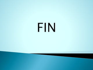 T area de infotecnologia