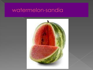 watermelon-sandia