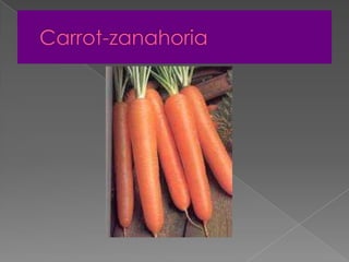 Carrot-zanahoria