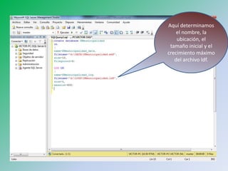 Aquí determinamos el nombre, la ubicación, el tamaño inicial y el crecimiento máximo del archivo ldf.