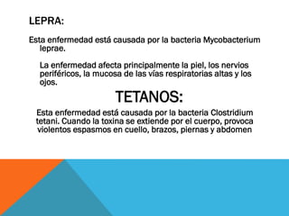 LEPRA:
Esta enfermedad está causada por la bacteria Mycobacterium
leprae.

La enfermedad afecta principalmente la piel, los nervios
periféricos, la mucosa de las vías respiratorias altas y los
ojos.

TETANOS:
Esta enfermedad está causada por la bacteria Clostridium
tetani. Cuando la toxina se extiende por el cuerpo, provoca
violentos espasmos en cuello, brazos, piernas y abdomen

 